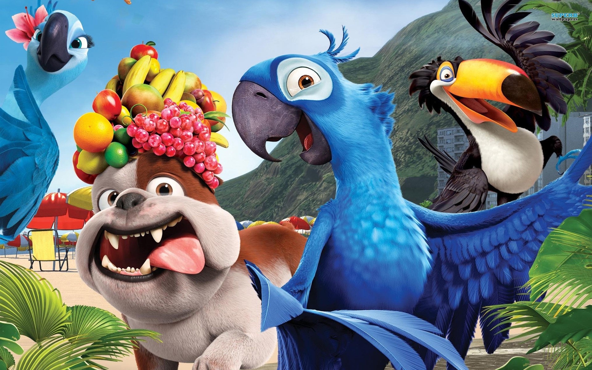 movies bird movie animal animation pixar comedy birds