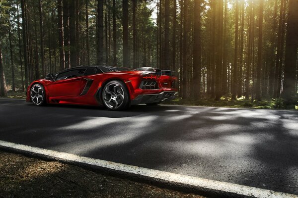 Voiture de sport rouge promenades le long de la forêt