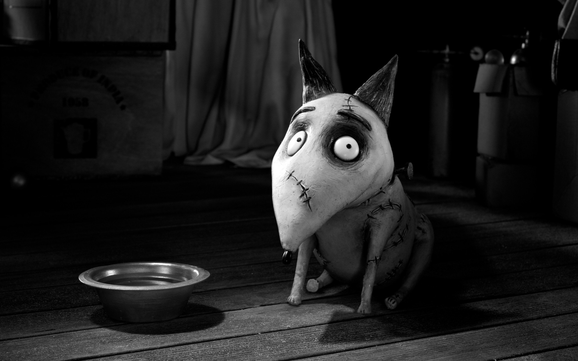 film monocromatico ritratto solo cane adulto arte scuro frankenweenie sparky