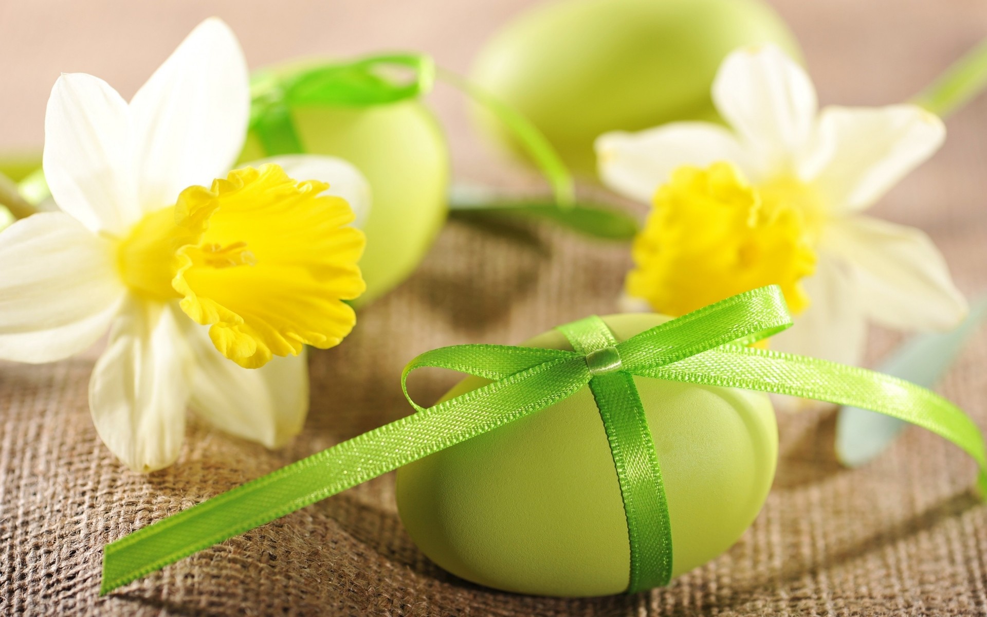 ostern blume natur flora blatt narzisse narzisse blumen hell schließen frühling dekoration schön geschenk sommer farbe saison garten blütenblatt narzissen ostereier eier