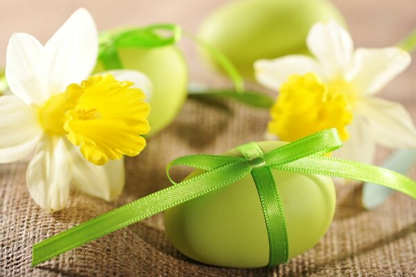 Fleur de jonquille avec testicule vert