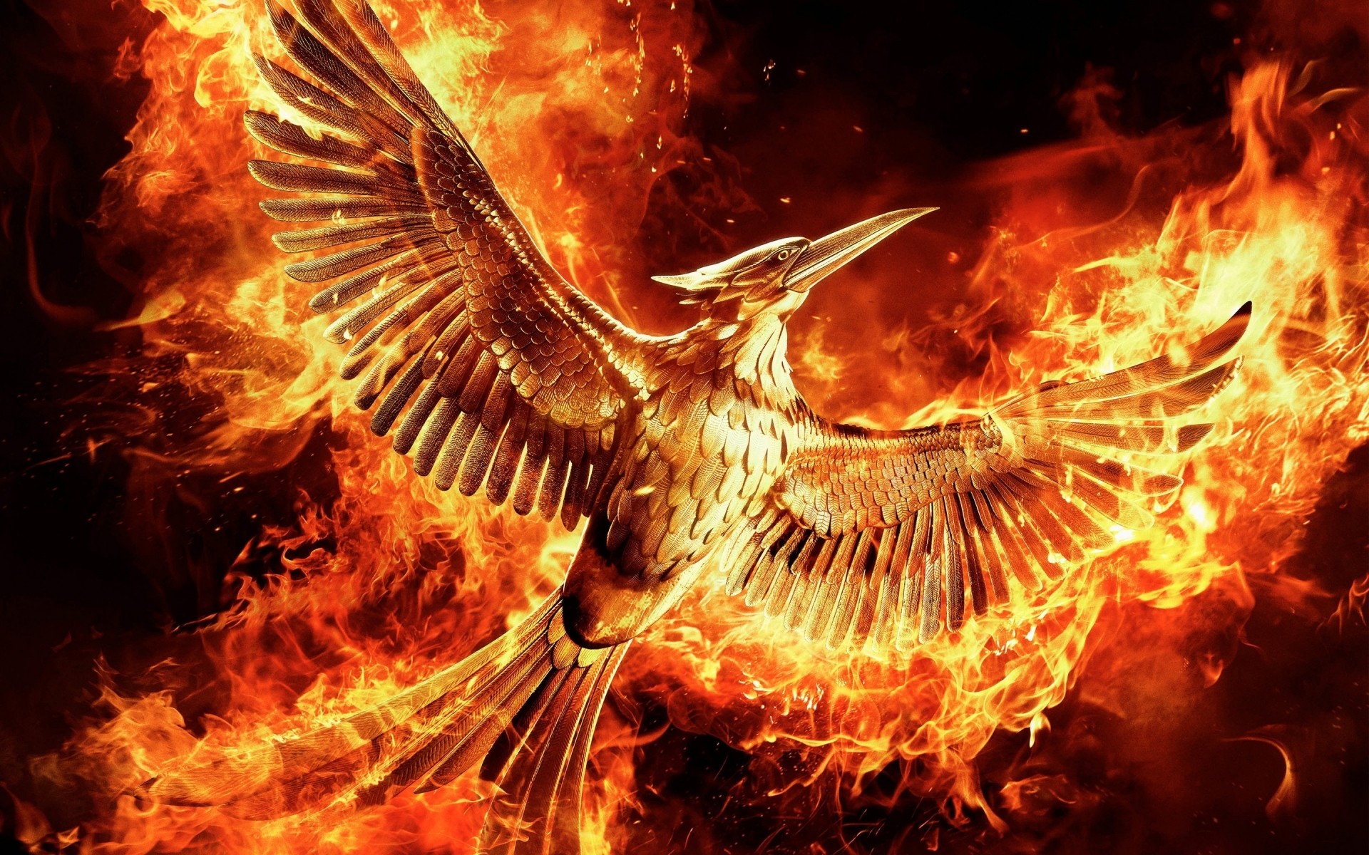 The phoenix bird is all on fire on a black background wallpaper