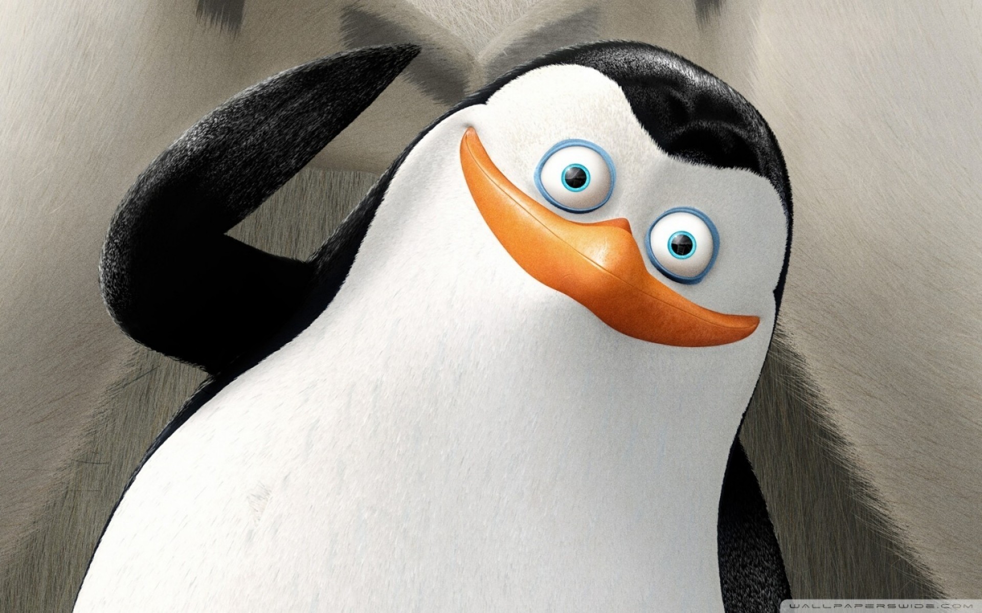 tv-serie vogel ein säugetier tier mode porträt gesicht madagaskar-pinguine pinguin cartoon film