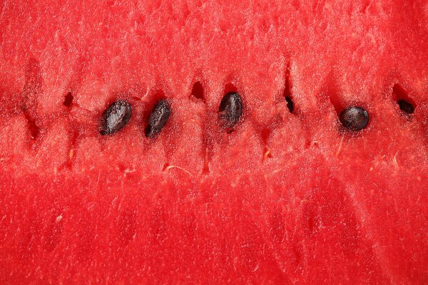 Black watermelon seeds macro photography