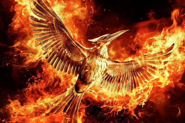 The phoenix bird is all on fire on a black background