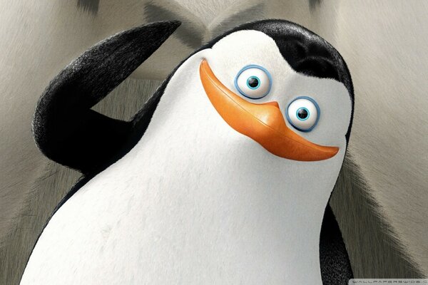 Милий пінгвін дарує посмішку