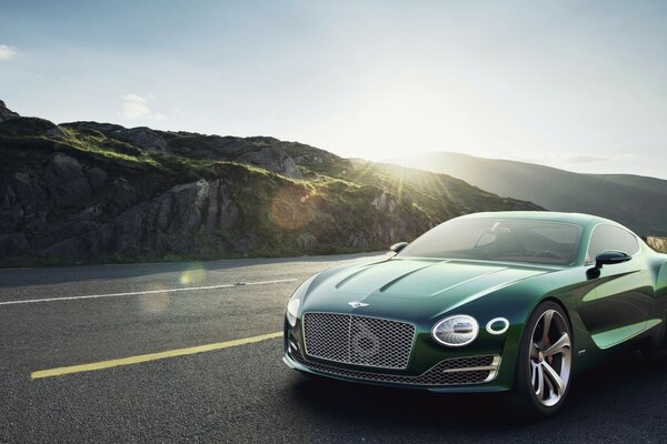 A very chic bentley eats on the sidewalk at a speed of 200