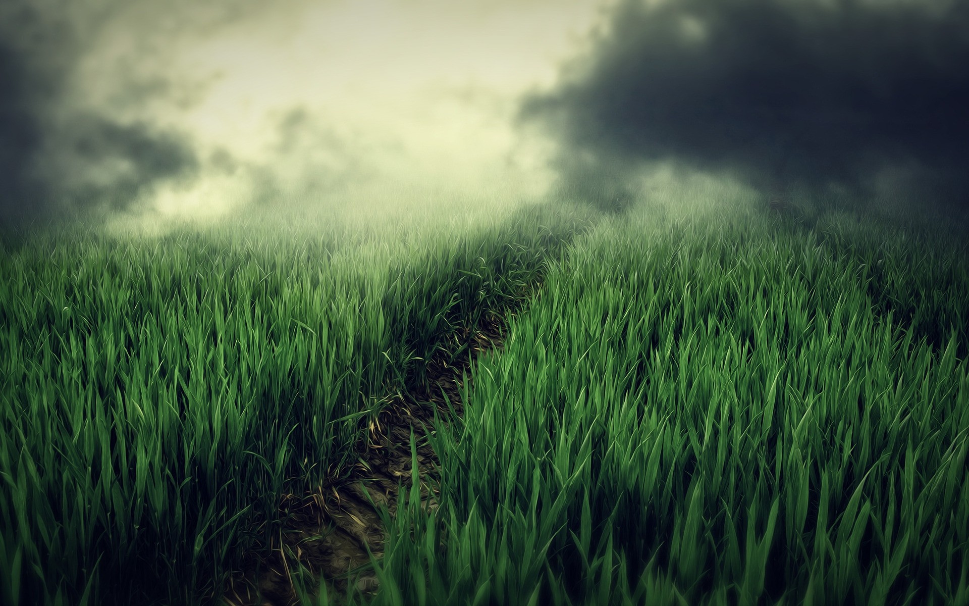 fantasie gras wachstum feld üppig rasen boden heuhaufen des ländlichen sommer weide sonne natur dämmerung bauernhof gutes wetter im freien landschaft flocken landschaft grün