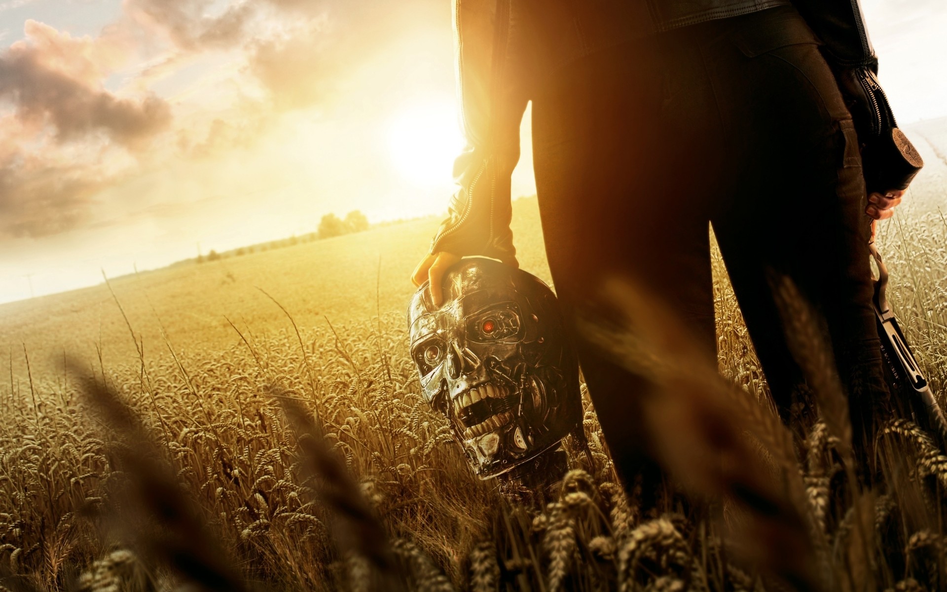 películas adulto solo oro puesta de sol retrato chica mujer naturaleza sol hombre luz viajes al aire libre terminator