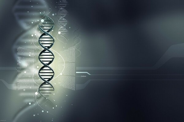 Gray background dnk dna medical wallpaper genes