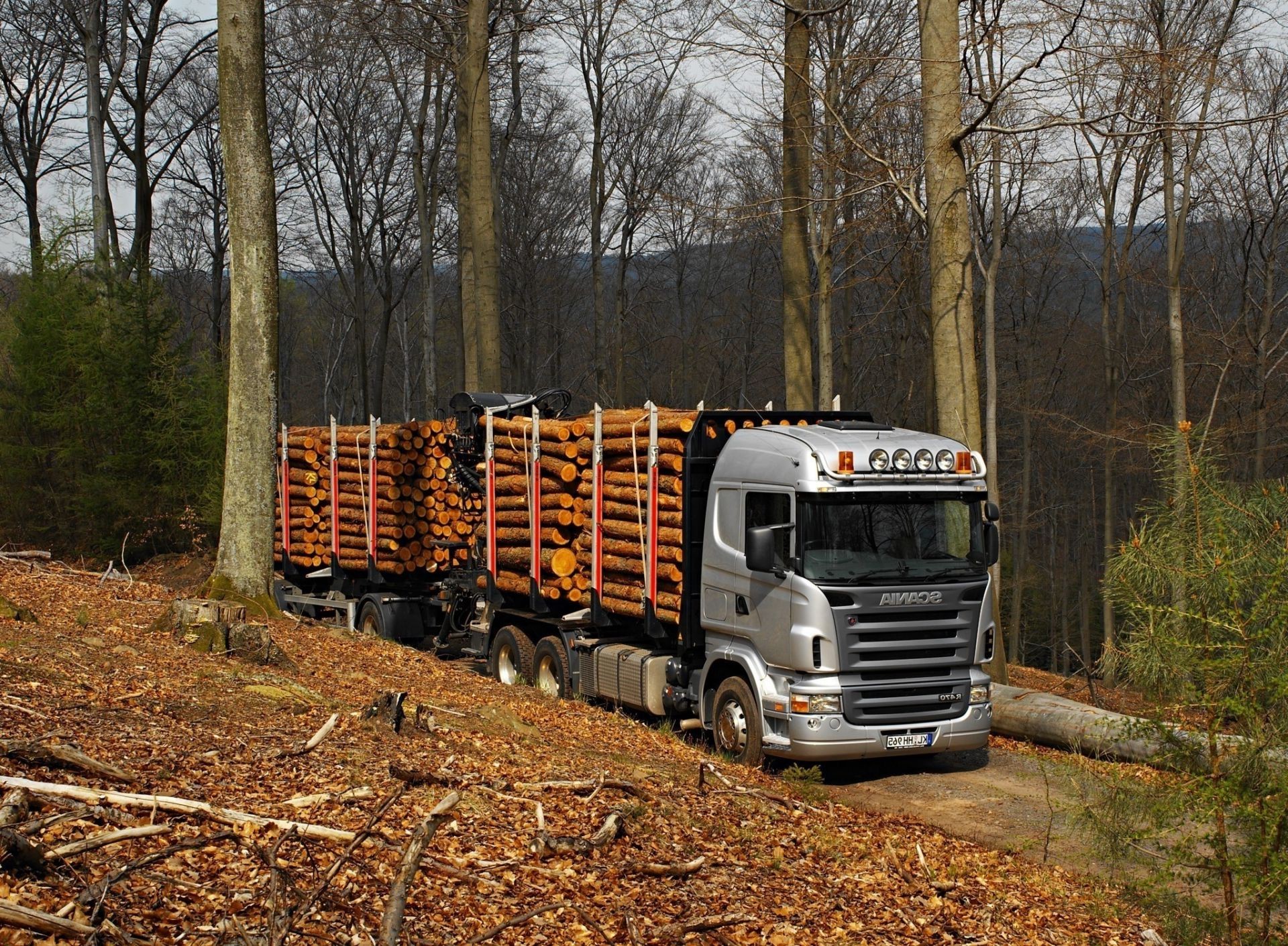 trucks vehicle wood fall outdoors tree road