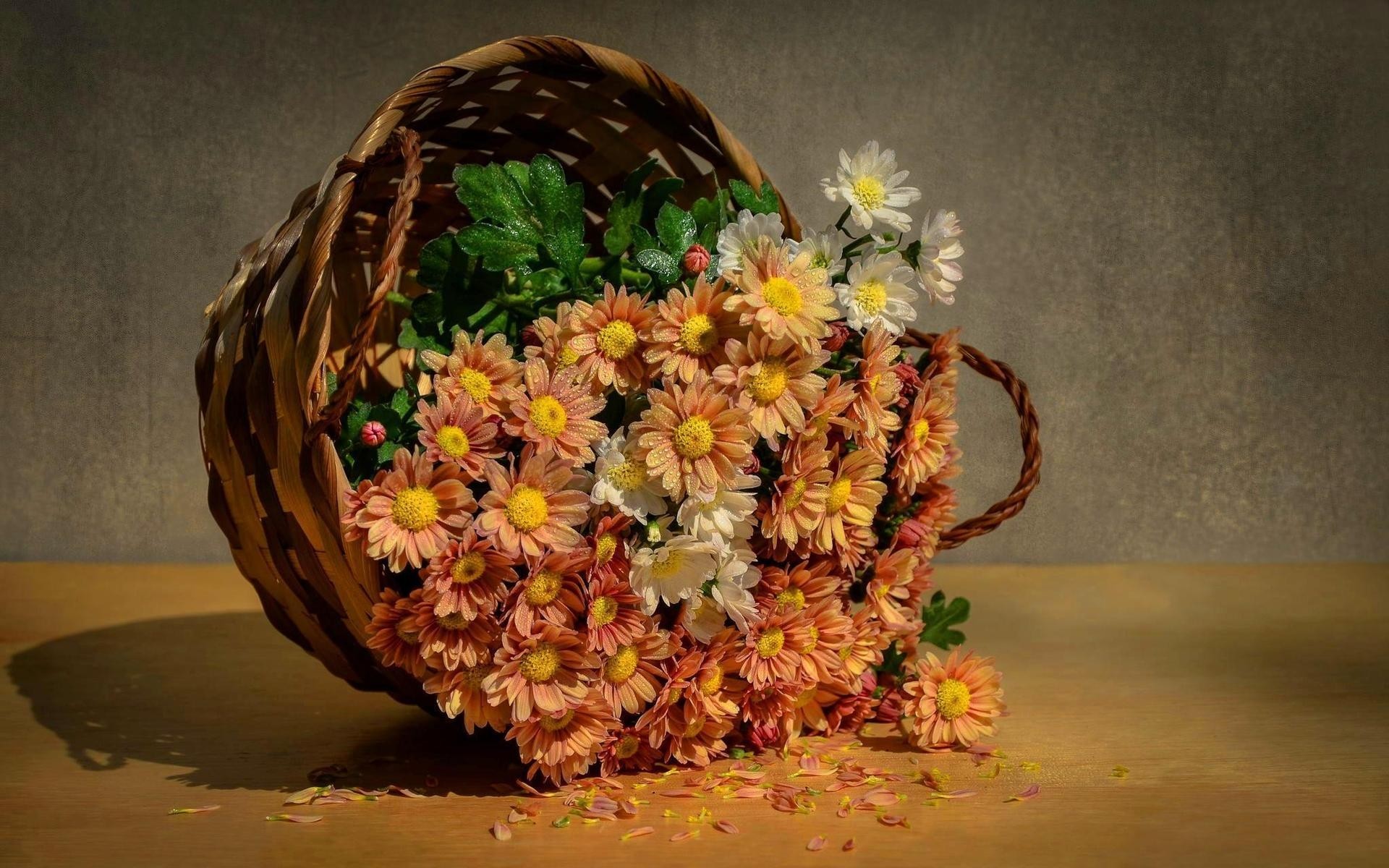 flores flor naturaleza muerta hoja cesta decoración comida color escritorio otoño