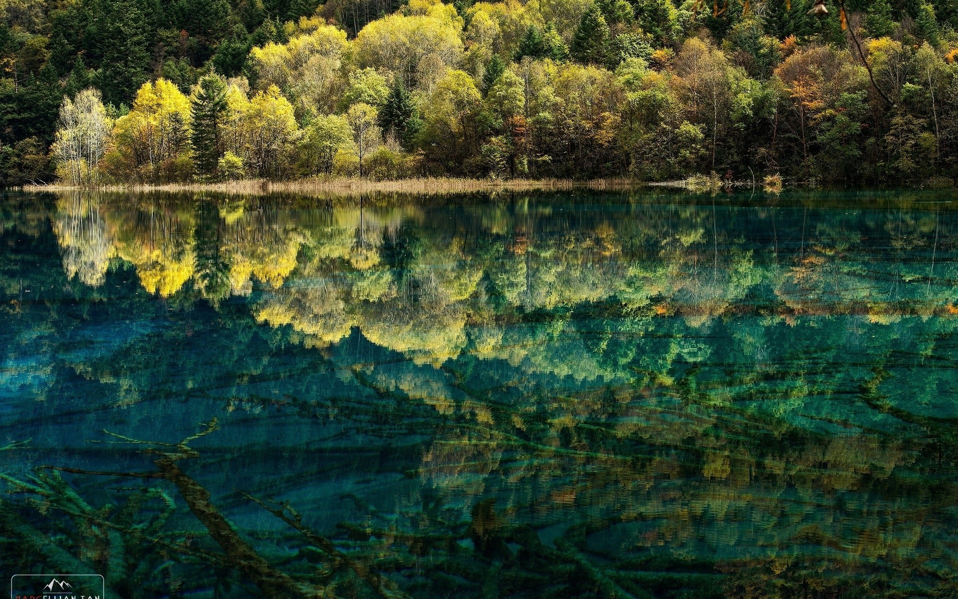 landscapes water river reflection lake landscape tree nature scenic wood fall leaf outdoors travel pool park light color lake reflection trees