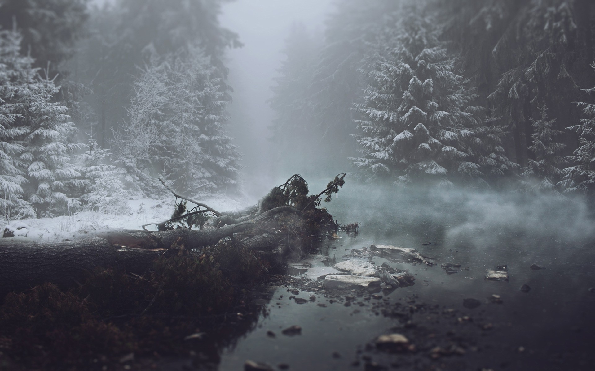 winter nebel landschaft schnee wasser berge nebel fluss baum wetter aktion auto im freien wald