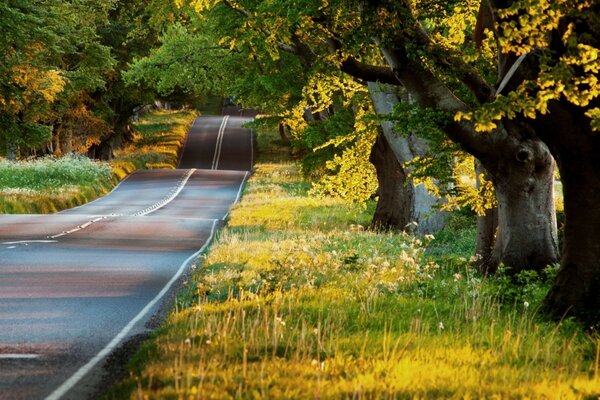 Herbstliche Natur neben der Straße