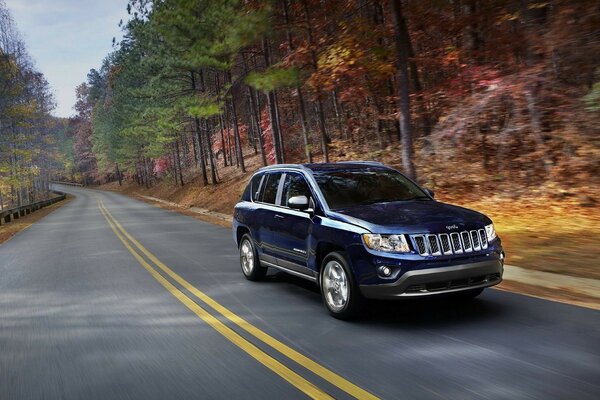 SUV negro en el fondo de la belleza del otoño