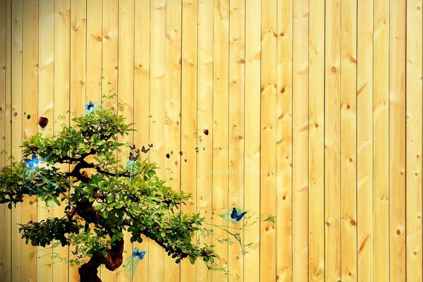 Pared de madera pintado bonsai