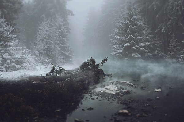 Nebel über dem Fluss auf dem Hintergrund eines verschneiten Waldes