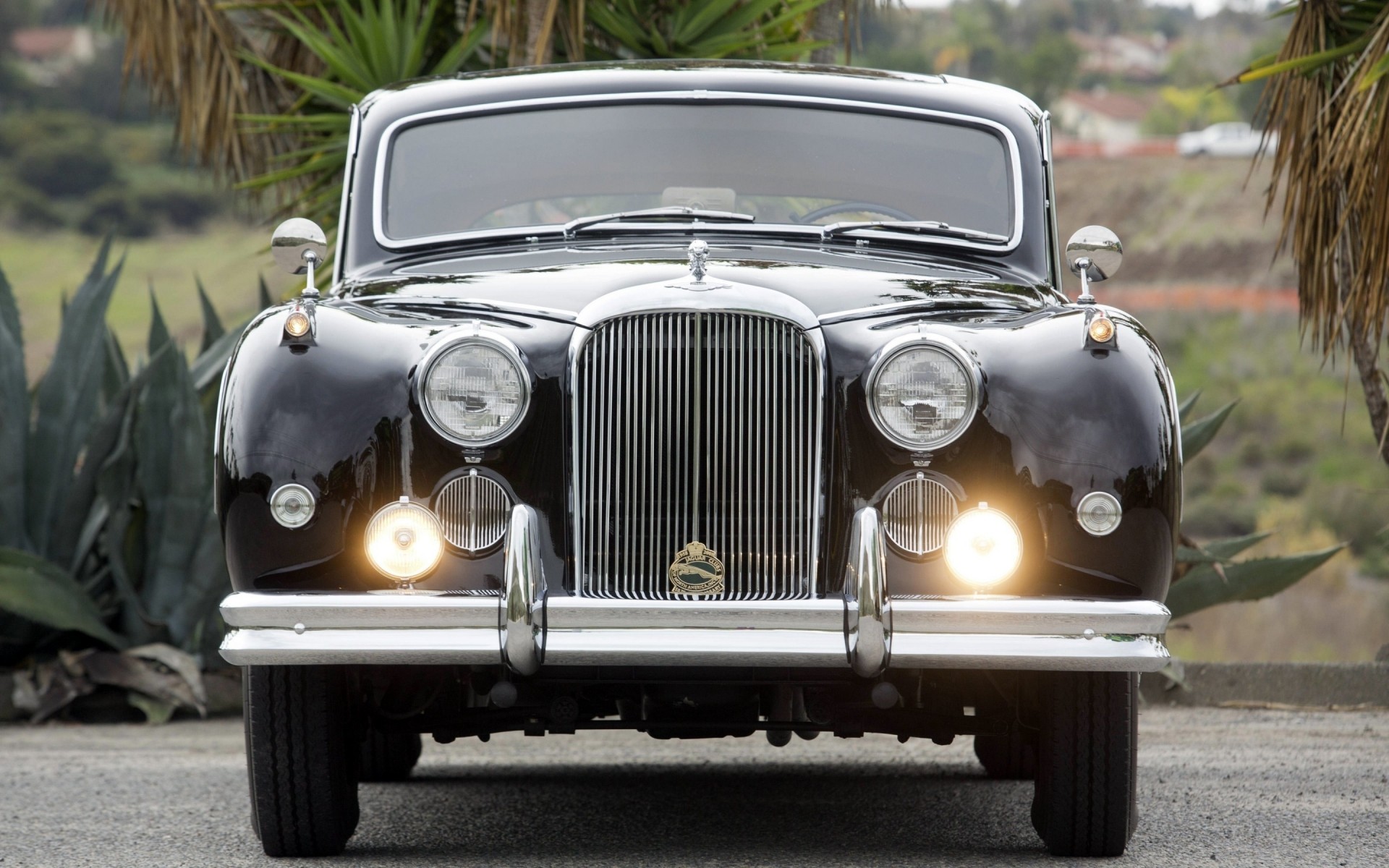 classic / old cars samochód pojazd system transportu napęd reflektor maska klasyczny kabriolet nostalgia chrom pokaż koła szyba rajd klasyczny jaguar