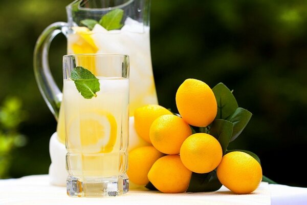 Lemon still life of fruits and dishes