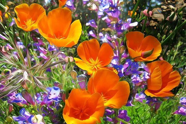 Abundância de belas flores no jardim