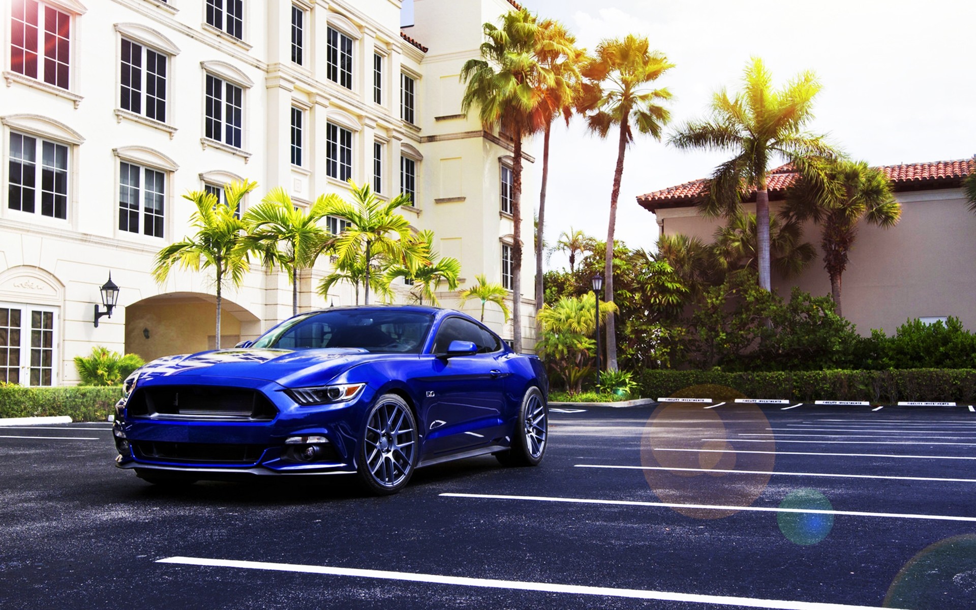 ford car pavement street road vehicle asphalt city transportation system blacktop urban race travel blue ford mustang ford mustang 2015