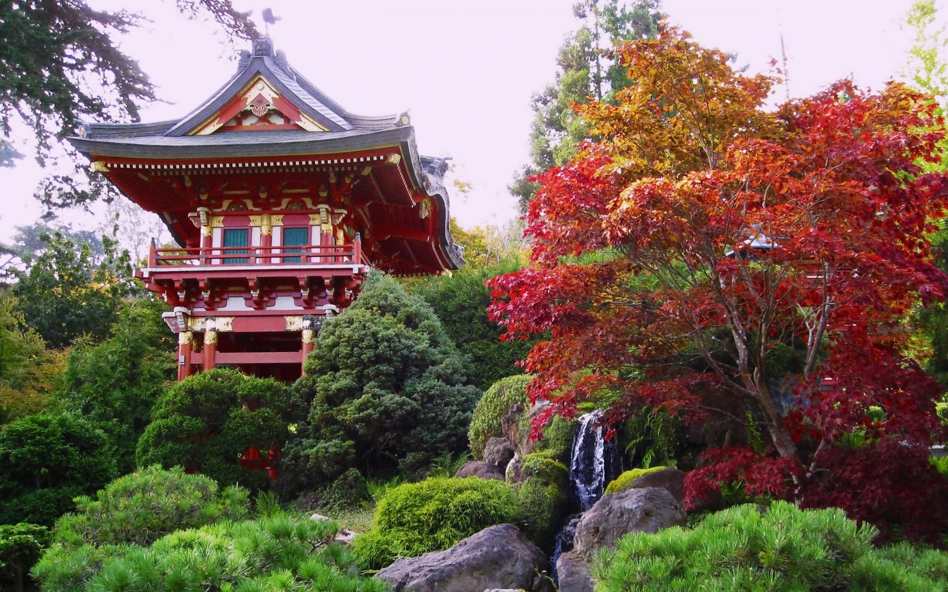 china park tree garden travel zen outdoors temple traditional marquee architecture wood shinto leaf nature pagoda culture gold beautiful peaceful waterfall