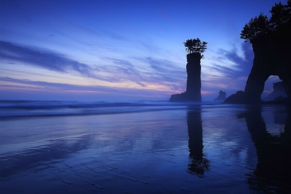 Shore trees rocks japan