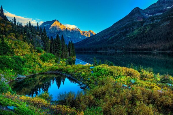 A beautiful river among mountains and forests