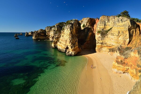 People on the seashore on a sunny day