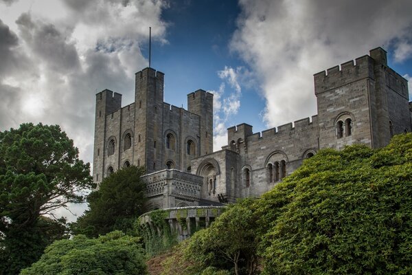 Behind the green bushes against the sky is a gray castle