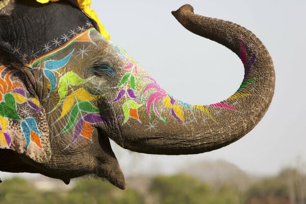 Portrait of a painted elephant