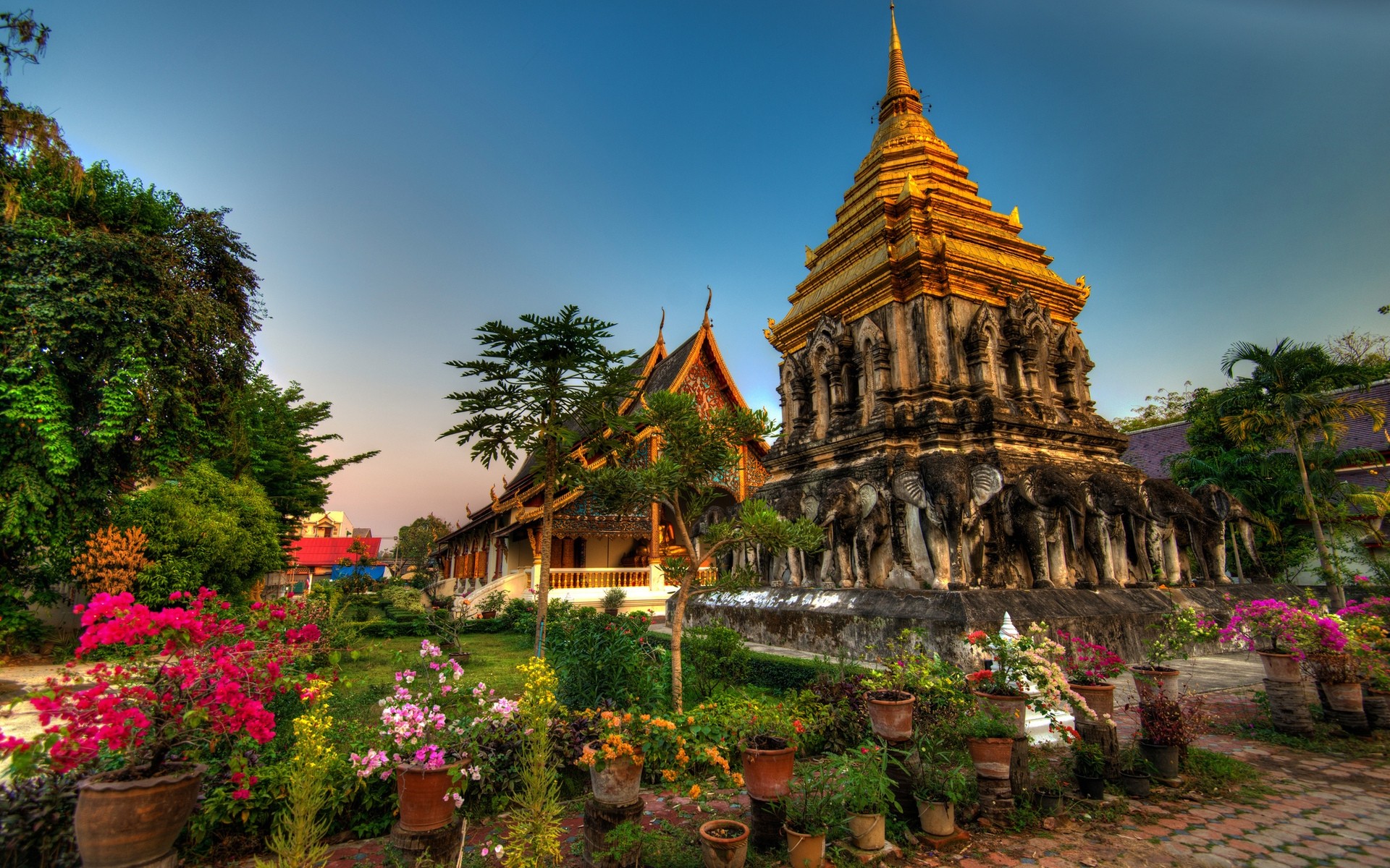 andere städte tempel architektur buddha reisen pagode religion wat haus himmel stupa antike traditionelle im freien baum kultur spiritualität kloster gold burg wat chiang man thailand blumen garten