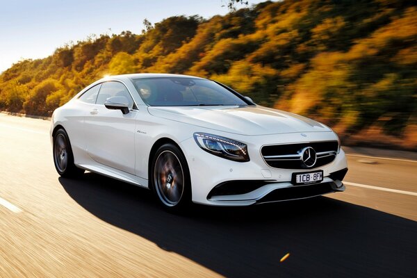 White Mercedes Benz on an autumn sunny road