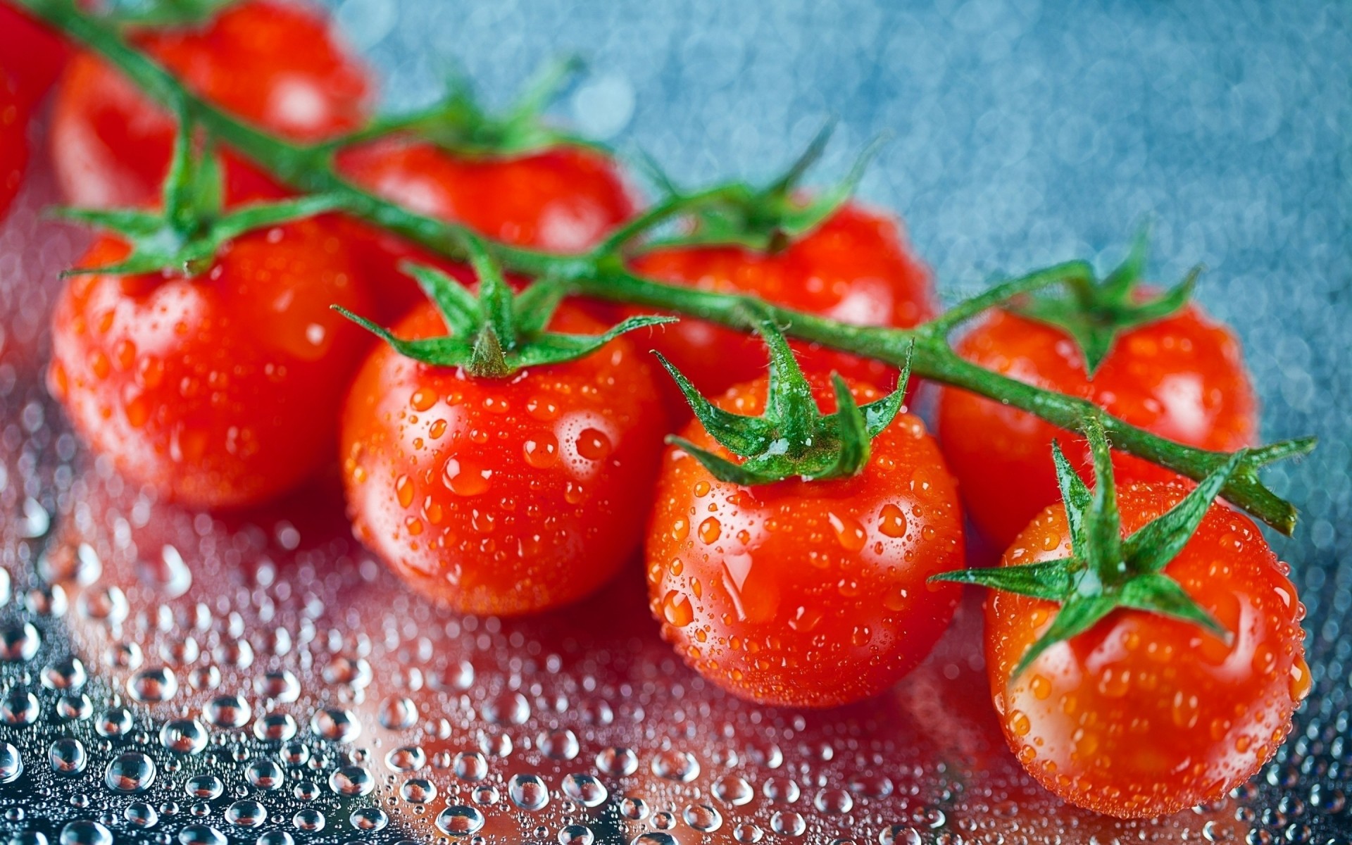 gemüse essen wachsen tomate gesund gemüse gesundheit obst saftig lecker blatt essen landwirtschaft frische ernährung kochen erfrischung lecker kirsche wassertropfen