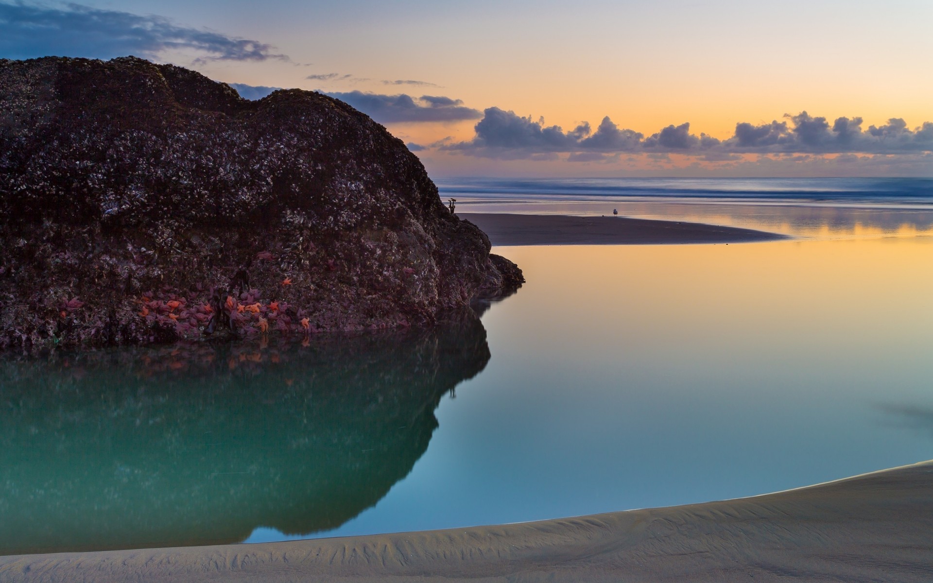 stati uniti acqua spiaggia mare mare oceano paesaggio viaggi paesaggio tramonto cielo isola roccia natura bandon beach oregon stati uniti