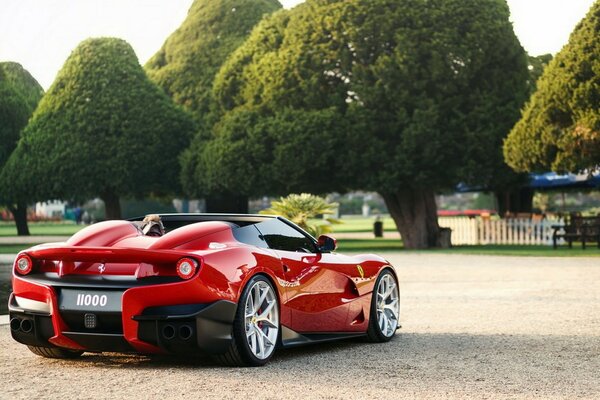 Ferrari waiting for the start