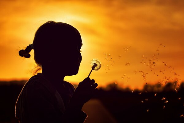 Silhueta da menina com dente de leão ao pôr do sol