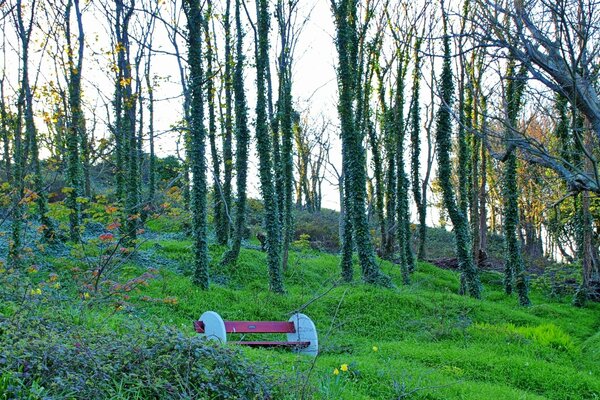 शहर और वास्तुकला प्रकृति का लैंडस्केप