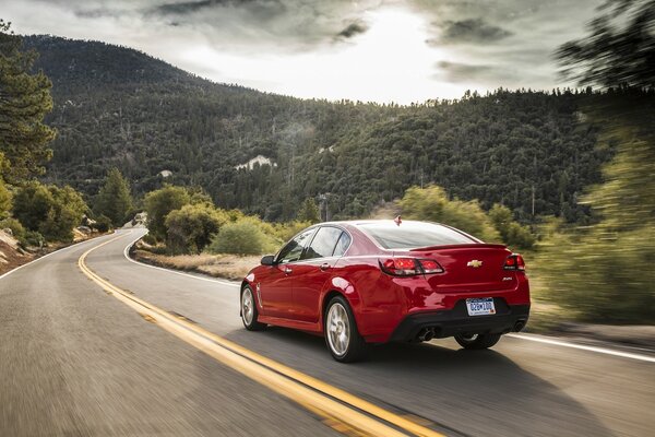 Chevrolet is driving on the road through the forest