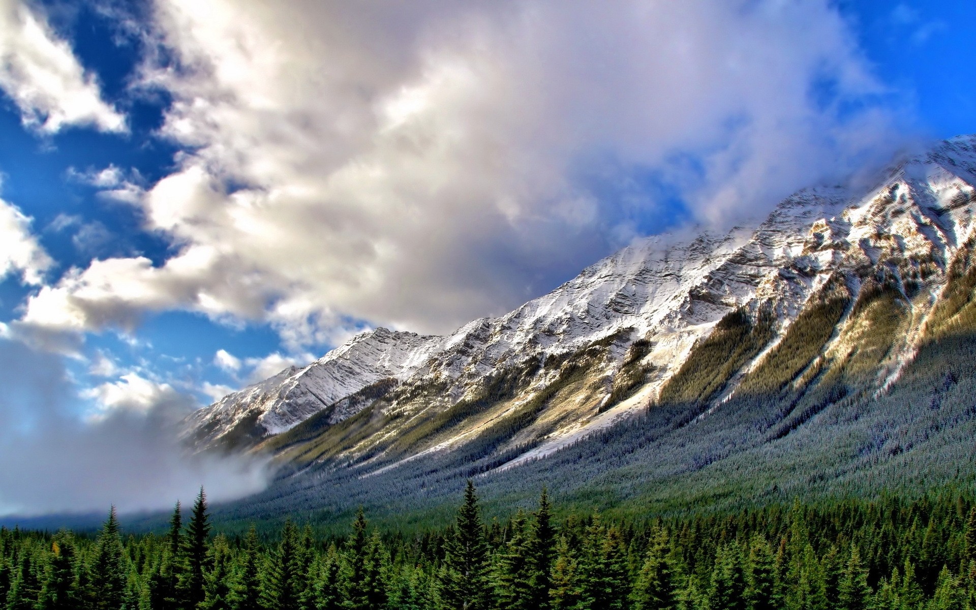 landschaft berge schnee himmel landschaft reisen natur im freien holz berggipfel landschaftlich berge nebel