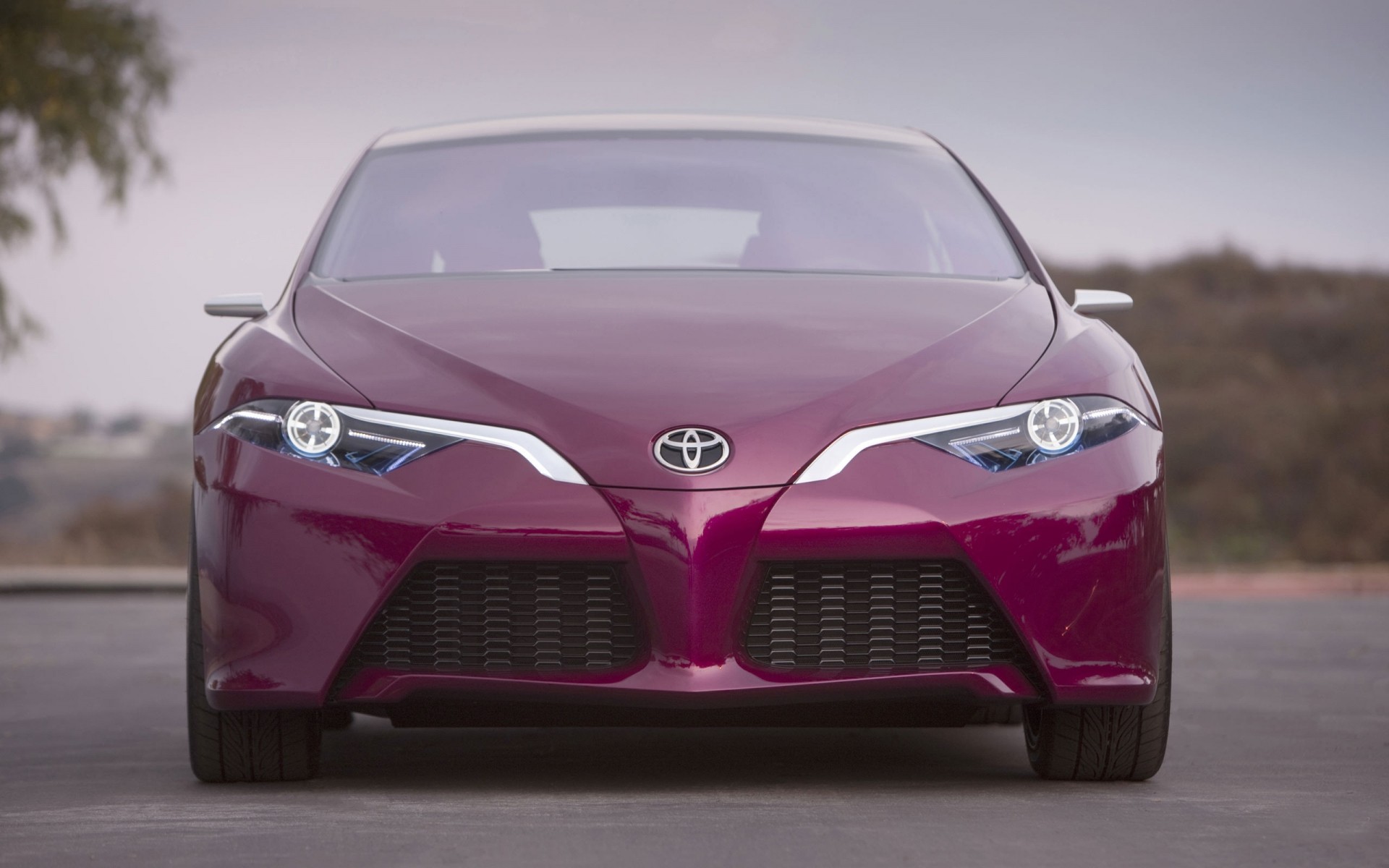 toyota auto veicolo sistema di trasporto ruote asfalto auto corsa disco mostra cofano nigella marciapiede elettrico berlina sinergia