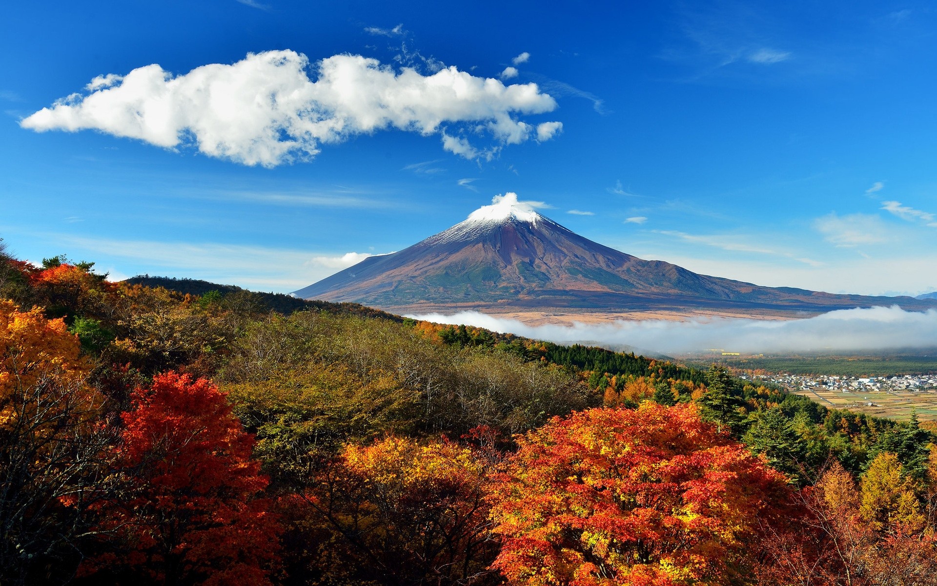 japon volcan paysage montagnes automne nature à l extérieur voyage ciel arbre scénique lumière du jour mont fuji nuages arbres automne