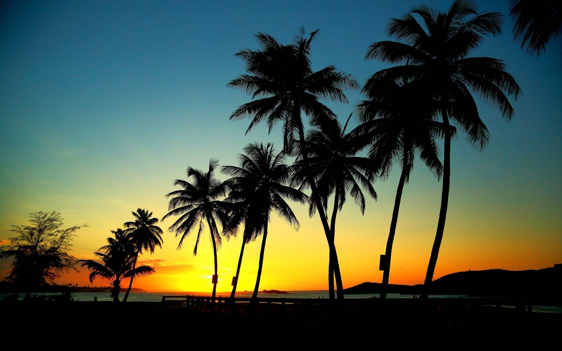 paysage plage tropical palmiers soleil mer sable île noix de coco exotique paysage océan été idylle coucher de soleil paradis station vacances beau temps arbre voyage palmiers