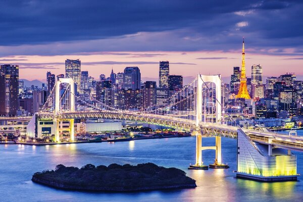 Bridge in lights at night