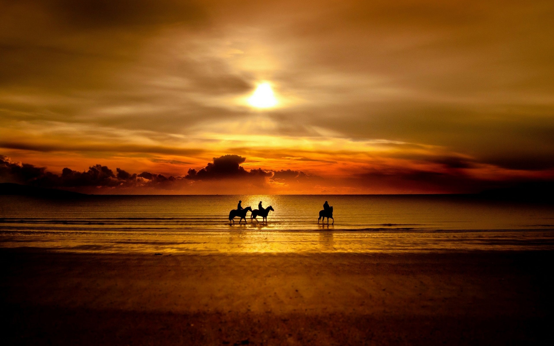 paesaggio tramonto alba sole acqua spiaggia crepuscolo mare sagoma paesaggio oceano sera riflessione illuminato cielo