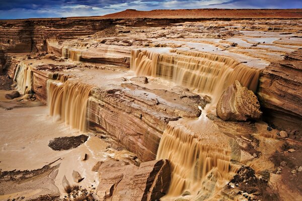 Imágenes raras del desierto después de la lluvia