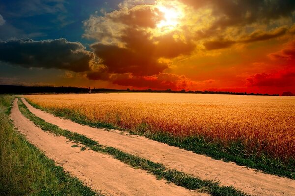 Couchers de soleil lumineux sur la route de campagne