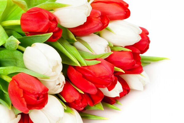 Bouquet di fiori di tulipano come regalo