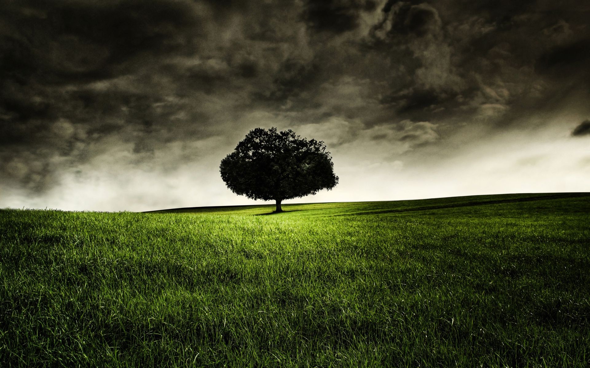 erba paesaggio tempesta cielo albero natura tempo pioggia campo campagna alba nebbia nuvoloso nuvola fieno pascolo